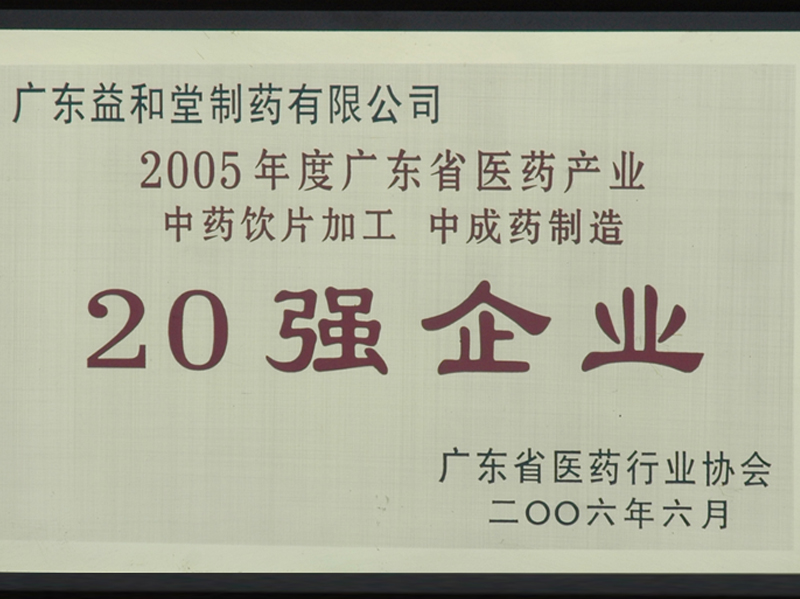 20强企业2005年度